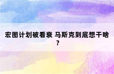 宏图计划被看衰 马斯克到底想干啥？